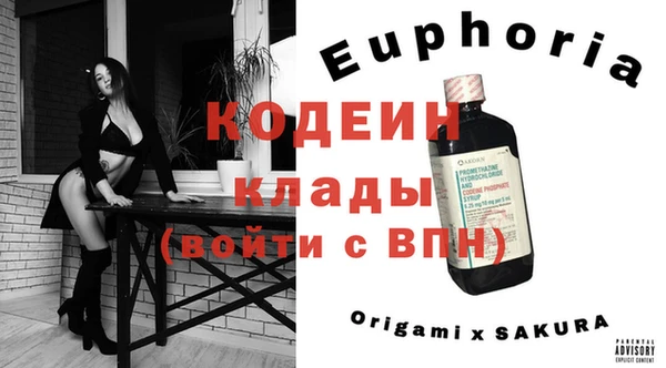прущие грибы Кулебаки