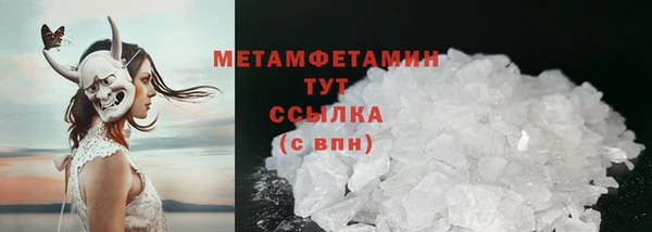 прущие грибы Кулебаки