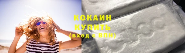 прущие грибы Кулебаки