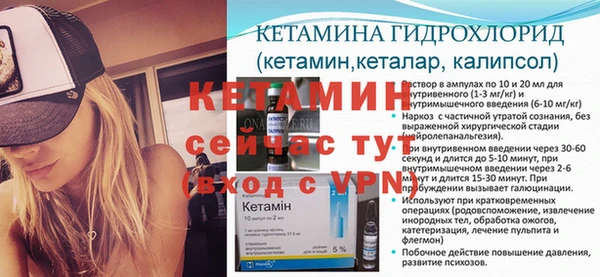 прущие грибы Кулебаки