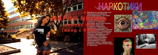 не бодяженный Кукмор