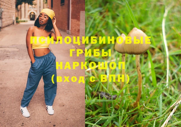 гидра Куйбышев