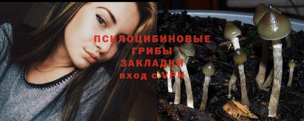 не бодяженный Кукмор
