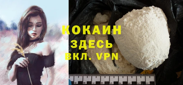 прущие грибы Кулебаки