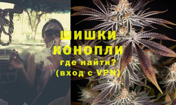 прущие грибы Кулебаки