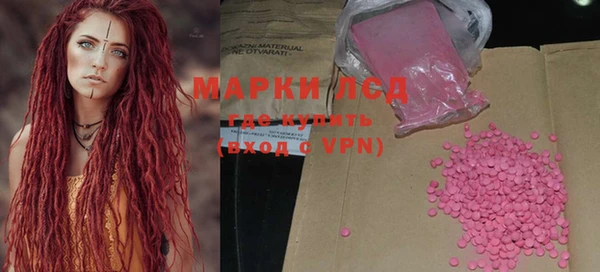 прущие грибы Кулебаки