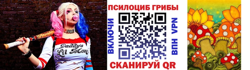Купить  Артёмовск  Псилоцибиновые грибы прущие грибы 